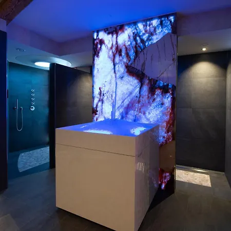 Hotel Wellness-hotel Adler 2*