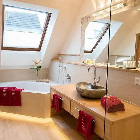 Hotel Wellness-Hotel Adler 2*